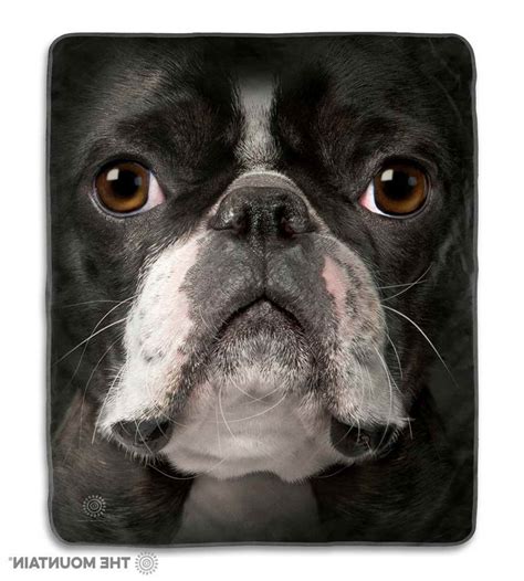 Boston Terrier Fleece Blanket