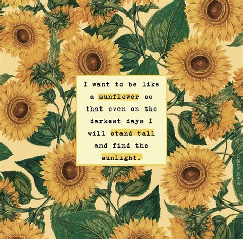 Sunflowers With The Quote I Want To Be Like A Sunflower So That Even On