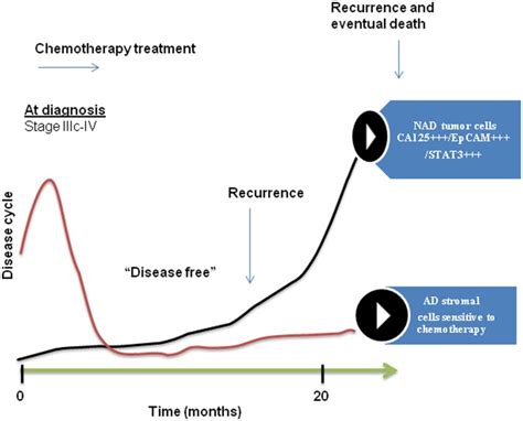 Chemotherapy For Ovarian Cancer Stage 3c - CancerWalls