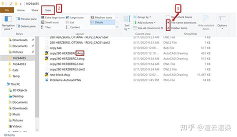 如何在Windows中启用文件扩展名以了解文件的确切类型 知乎