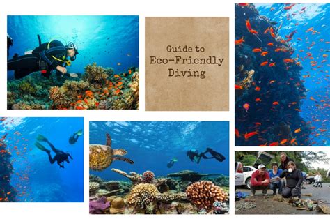 Eco Friendly Diving The Ultimate Guide To Sustainable Underwater