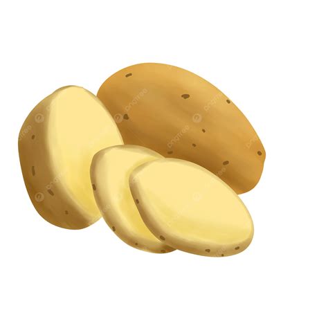 Fresh Potato Illustration Potato Tubers Fresh Png Transparent