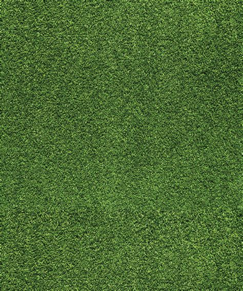 Grass Wall Paper