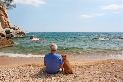 Dog Breeds That Are Perfect for Retirees