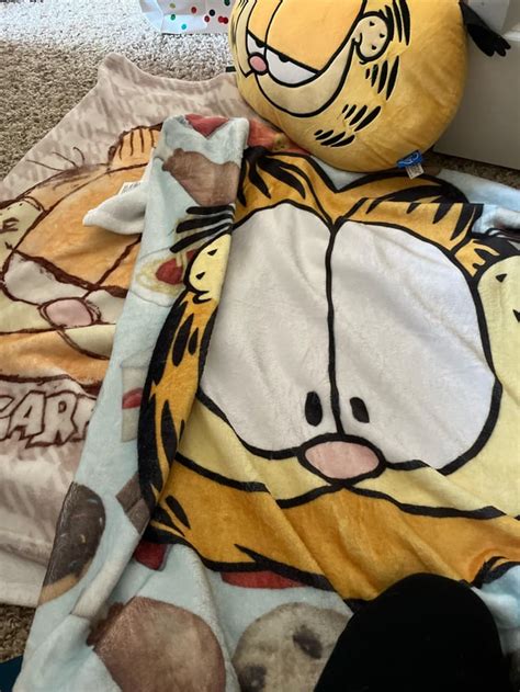 All my Garfield merch :) : r/garfield