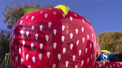 Watsonville Strawberry Festival Going Strong Despite Crop Damage