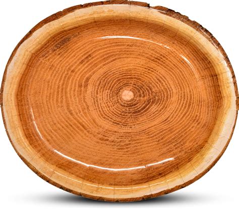 Amazon Havercamp Cut Timber Party Plates Plates Lg