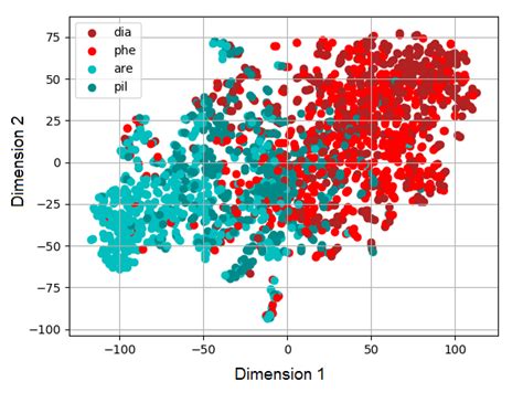 T Distributed Stochastic Neighbor Embedding T Sne Map Of Intracranial