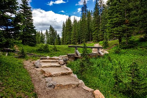 Bildet landskap tre natur skog sti villmark gå fjell himmel