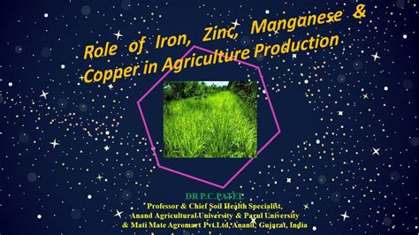 Role Of Iron Zinc Manganese And Copper In Agriculture Production By Dr P C Patel Youtube