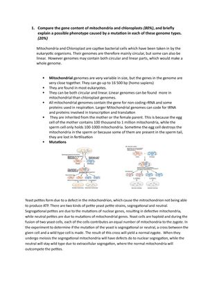 Sbl Lecture Tutorial Self Based Learning Questions For Lecture