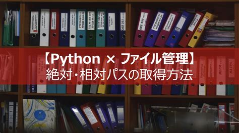 【python】画像データからヒストグラムを描画・均一化｜opencvによる画像処理入門 Dxcel Wave