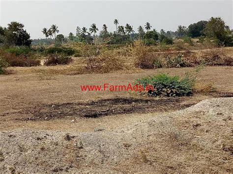 10 6 Acres Of Farm Land For Sale In Kolar District Kolar FarmAds In