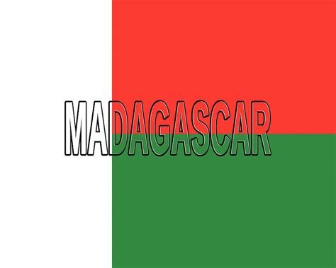 Flag Of Madagascar Word Digital Art By Roy Pedersen Fine Art America