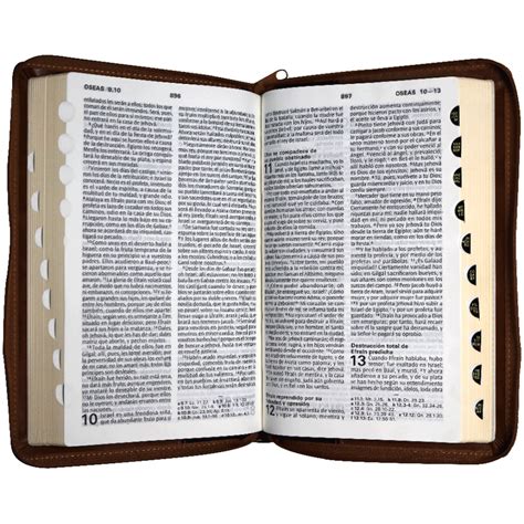 Biblia RVR1960 Mediana Letra Grande Imitación Piel Marrón Negro 11pt