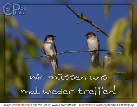 Coolphotos De Wir M Ssen Wir M Ssen Uns Mal Wieder Treffen