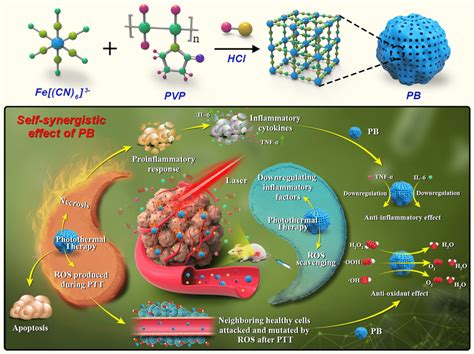 Schematic Illustration Of The Self Synergistic Effect Of Pbs