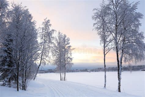 Winter Landscape in Finland Stock Photo - Image of winter, kuusamo ...