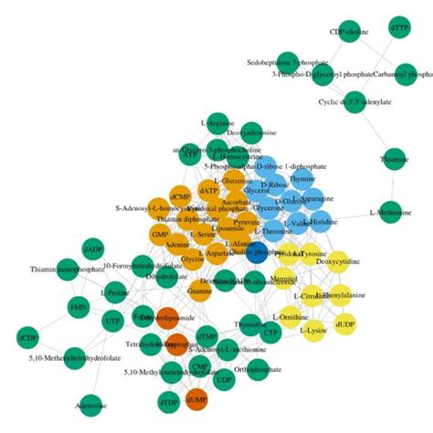 Metabolite Correlation Network Based The Pearson Correlation Of Download Scientific Diagram