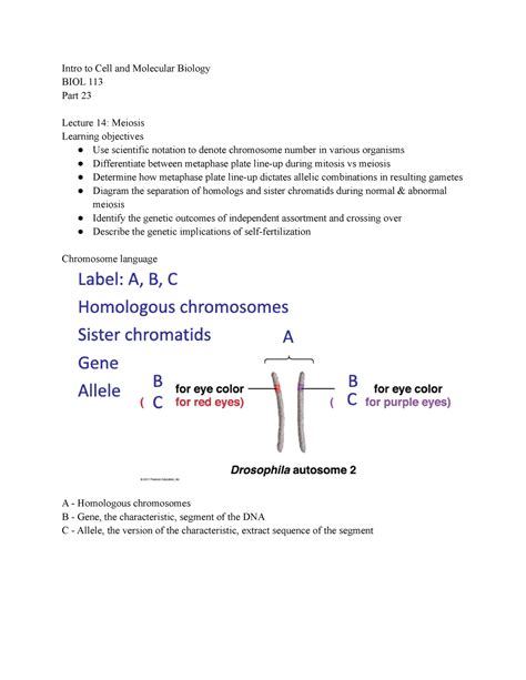 Intro To Cell And Molecular Bio Lecture Notes Part Dr Sarah