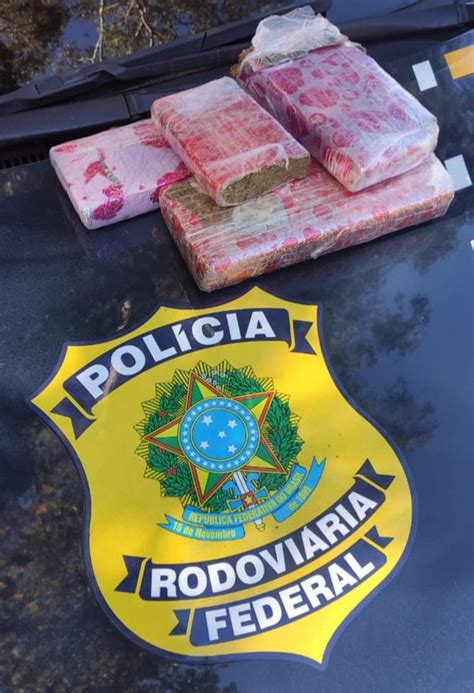 Prf Prende Casal De Traficantes Maconha Em Caxias Do Sul Rs