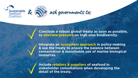 Why An International Treaty For The High Seas Is Crucial To