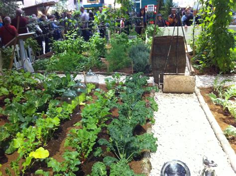 Rooftop Vegetable Gardens Hawk Haven