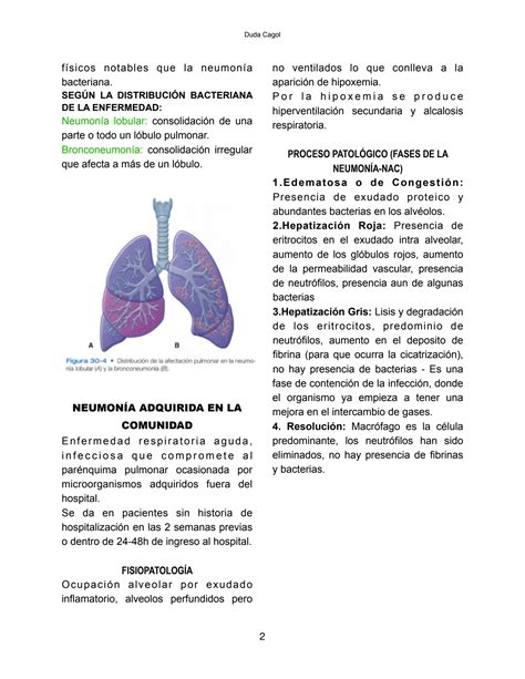 Solution Infecciones Vias Respirat Rias Studypool