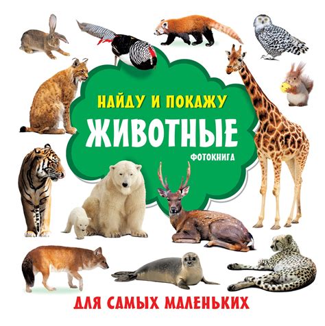 Животные Фотокнига для самых маленьких