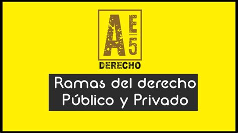 Cu Les Son Las Ramas Del Derecho Conoce Las Diferencias Entre