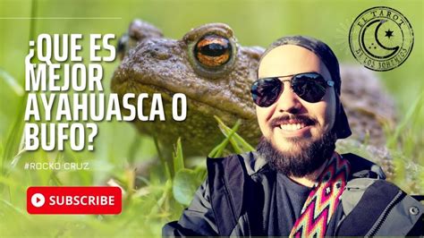 Qué es más fuerte la ayahuasca o el sapo Brujos de Catemaco ORG 2024