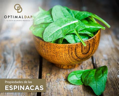 La Espinaca Propiedades Y Beneficios Optimaldap Cuida Tu