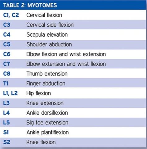 Spinal Cord Injuries Flashcards Quizlet