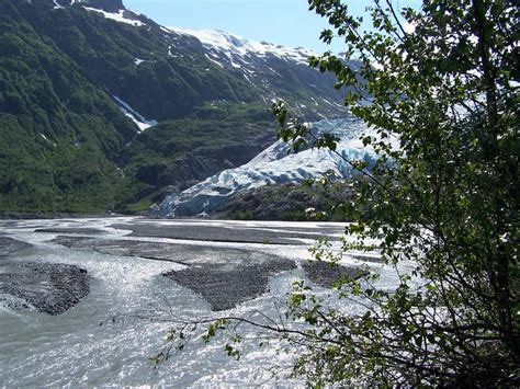 Free Photos Exit Glacier Kenai Fjords National Park Dailyshot