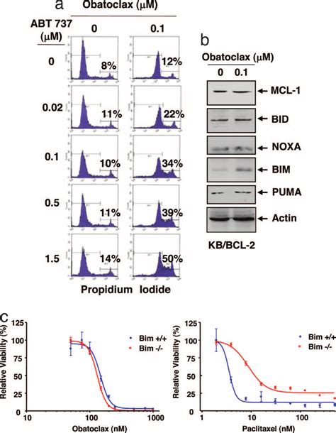 Obatoclax Overcomes The Resistance Of Kb Bcl 2 Cells To Abt 737 A