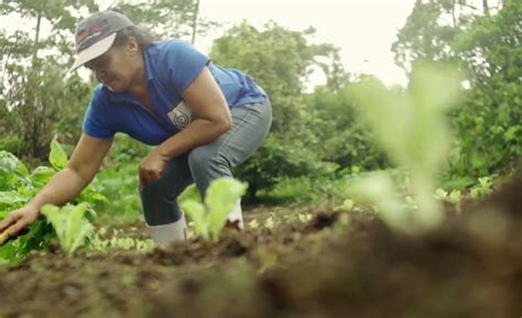 ¿la Siguiente Crisis Precios Y Abasto De Fertilizantes Avivan Temores En El Agro