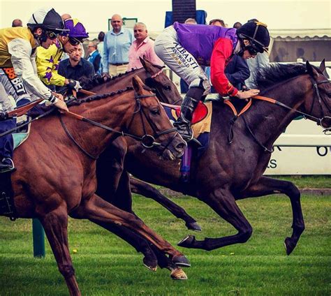 About Us | Great Yarmouth Racecourse