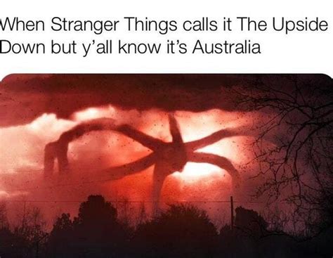 The Best Australia Memes Memedroid