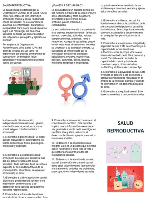 Triptico Salud Reproductiva Pdf Sexualidad Sicología