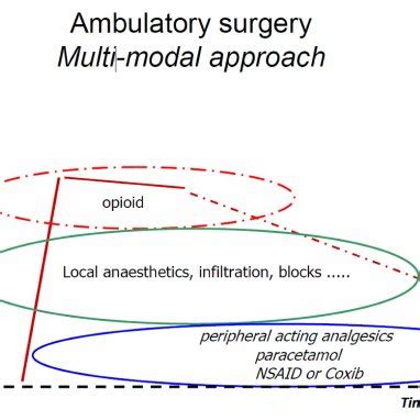 Multi Modal Analgesia The Basic And Escalating Addition Of Drugs