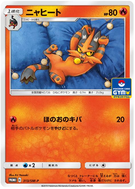 Torracat Sun And Moon Promos 313 Pokemon Card