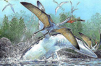 10 Interesting Pterodactyl Facts