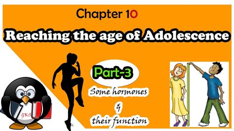 Reaching The Age Of Adolescence Class Science Chapter Ncert