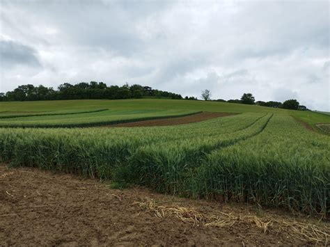 La Diversification Des Cultures L Preuve Du Terrain Syppre