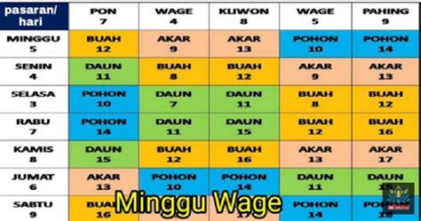 Minggu Ceria Inilah Keistimewaan Weton Minggu Legi Pahing Pon Wage