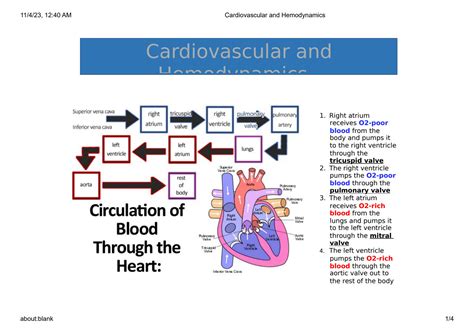 Solution Cardiovascular And Hemodynamics Studypool