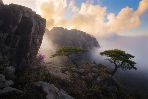 photography, Nature, Landscape, Spring, Wildflowers, Trees, Mountains ...