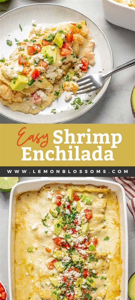 Creamy Shrimp Enchiladas Lemon Blossoms