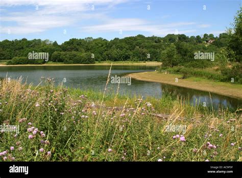 Ardingly Reservoir West Sussex England UK Stock Photo - Alamy