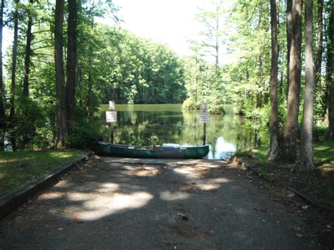 North Carolina River Fishing and Canoeing with Mack: Greenfield Lake